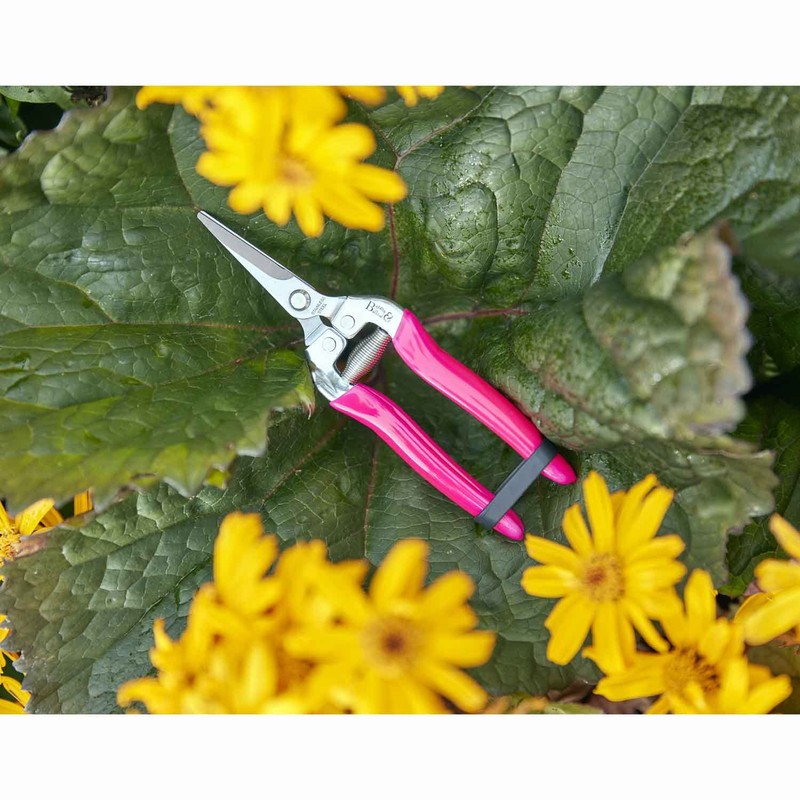 FloraBrite Pink Flower/Fruit Snip By Burgon & Ball