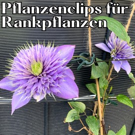 KRONLY Plant Clips and Plant Clips Pack of 208 - Trellis for Tomatoes, Cucumber Plants, Trellis Plants