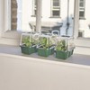 EarlyGrow MPL50077/3 Mini High Top Propagator 16 x 10 x