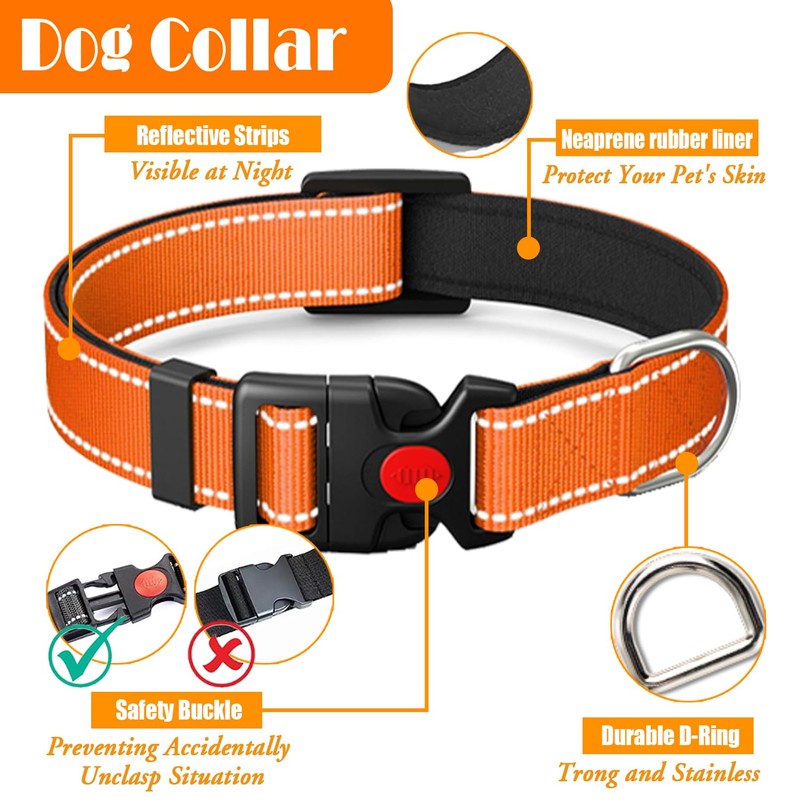 LOBEVE No Pull Dog Harness, Collar & Leash Set |