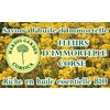 Corsican Immortelle Soap with Organic Essential Oils with Organic Immortelle