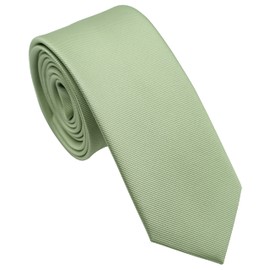 ZENXUS Solid Skinny Ties for Men, 2.5 inch Slim Sage Green Necktie