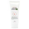 DRMOON Premium Aloe Vera Sun Cream SPF50+ PA+++, 70ml, 1 piece / DRMOON 프리미엄 알로에베라 선크림 SPF50+ PA+++, 70ml, 1개