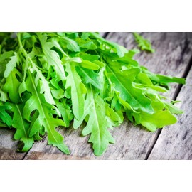 Arugula Salad Rocket Rucola 1000+ Seeds for Planting