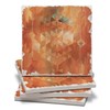 Thirstystone Desert Sunset 4 Pack Assorted Tumbled Tile Stone Coasters