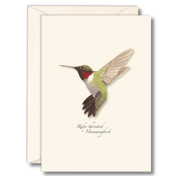 Earth Sky + Water - Ruby-throated Hummingbird Notecard Set - 8 Blank Cards with Envelopes