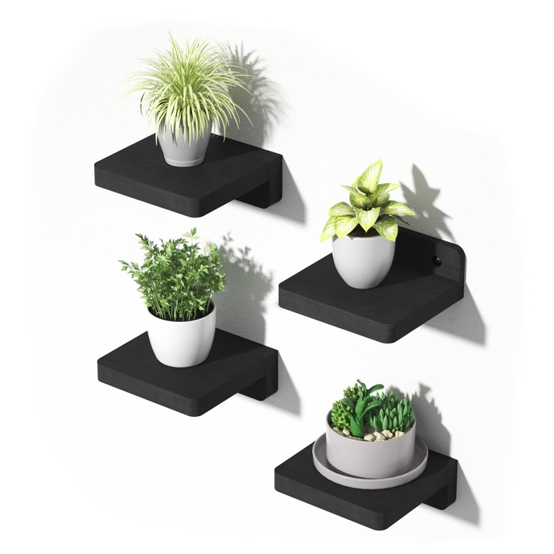 SRIWATANA Wall Rack Wall Shelves Small Display Shelves Set of