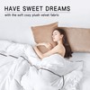StangH Soft Velvet Pillowcase Bed Pillow Cover for Hair and