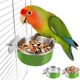 2 cuencos de acero inoxidable para pájaros, platos de comida para pájaros pequeños para jaula, comedero de jaula de loros con soporte de abrazadera para periquitos, cacatuelas, conuras, hurones