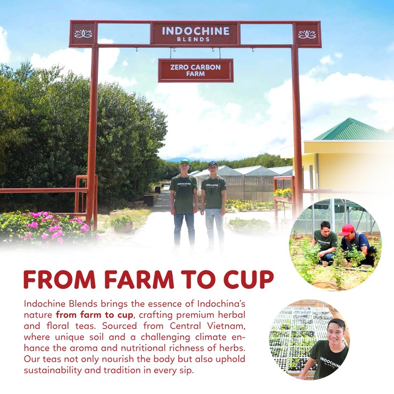 Indochine Blends Hibiscus Tea Bags | 100% Pure Hibiscus Flower