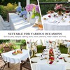 Wolkemer 2 Pack Small Square Tablecloth 24 x 24 Inch