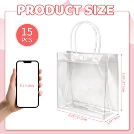 BadenBach 15 PCS Clear Gift Bags with Handles,6.89" x 6.89" x 3.54",Plastic Clear Gift Bags Clear Goodie Bags Clear Favor Tote Bags for Small Business Wedding Birthday Baby Shower Party Father's Day