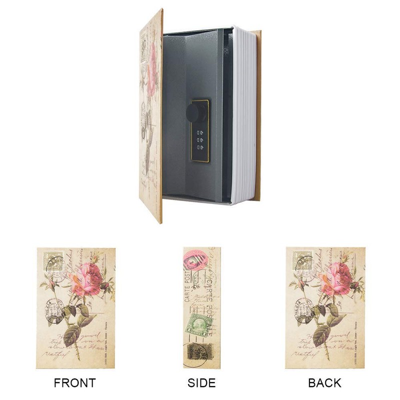 Diversion Book Safe Storage Box, Dictionary Secret Safe Can with