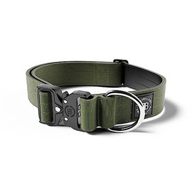BullyBillows 4cm Combat® Dog Collar v2.0 | Heavy-Duty Design with Rated Clip | NO HANDLE | Neoprene Lined for Comfort | Khaki | Large | Adjustable Size 17"-28" (43cm-72cm)