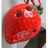 Strawberry 4 Holes Novelty Pendant Ceramic Ocarina. Great Gift, Dexterous,