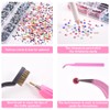 BLINGINBOX Hotfix Applicator Tool 2 Boxes of 4000 pcs Rhinestone
