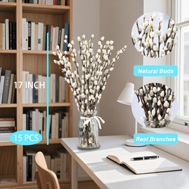 Natural Preserved Dried PussyWillow Branches, 15 Stems Real Willows, 17" Snow Pussywillows, Dried Flowers for Indoor and Outdoor Decor