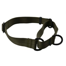 J&J Dog Supplies Martingale Nylon Collar (Ranger Green, 16” - 24”)