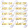 NAUXIUDSJS Senior Sash 2025,White Sashes 10 Pack with Gold Glitter