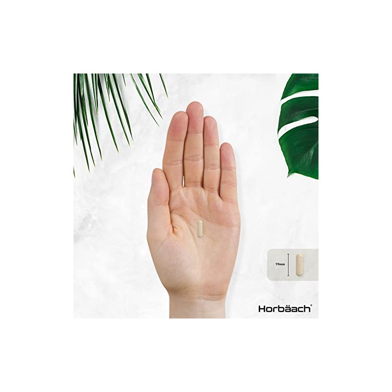 Bee Propolis Capsules | 2000mg | 90 Vegetarian Capsules |