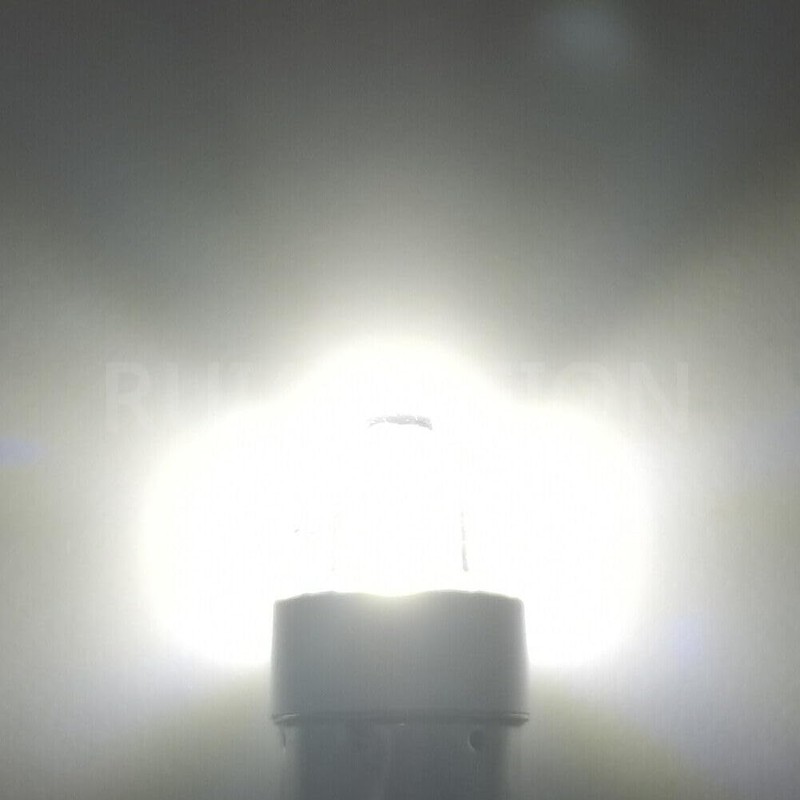 Ruiandsion E10 LED Bulb 6V Non Polarity 200LM 6000K White