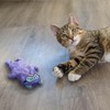 Petstages Purr Pillow Kitty Soothing Plush Cat Toy