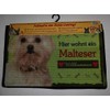 Pfronten Doormat Maltese (35), Doormat Door Mat, Weatherproof Dog