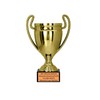 Larius Trophy Honour Prize – Universal Award Trophy with/without Desired