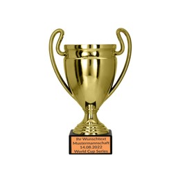 Larius Trophy Honour Prize – Universal Award Trophy with/without Desired Text (with Desired Text, Gold, L)