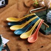 Evanda Soup Spoon, ECO Friendly Dinner Spoon,Made of Food Grade