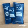 AllerMates - Pack de gel de hielo de larga duración