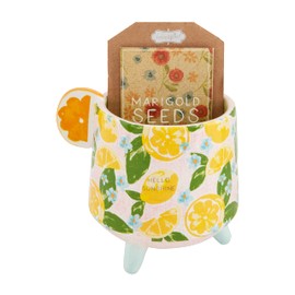 Mud Pie Hello Sunshine Pot W Seeds, Pot 4 1/2" x 4 1/4" | Seeds 4" x 2 1/2"