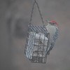 C&S Double Suet Basket 6.4 Ounces