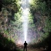 Amkulop Super Bright Headlamp, Led Rechargeable Head Lamp with Battery