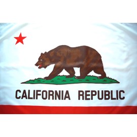 3x5 California Flag California State Flag 3 x 5 Flags with Grommets California State Flag 3x5 foot California Flags CA State Flag California Republic Flag 3x5 State of California Flag