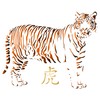 Tiger Stencil Reusable Stencils for African Big Cat Wildlife Painting