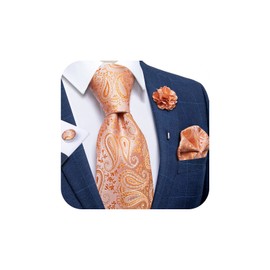 DiBanGu Orange Paisley Tie and Lapel Pin Set Mens Silk Woven Necktie Hankerchief Cufflinks Brooch Wedding Party