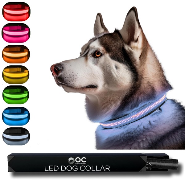 QC LED Light Up Dog Collar - Bright, Reflective, and