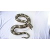 Dillon Realistic Giant Anaconda Snake foam-filled latex rubber snake 87"