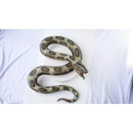 Dillon Realistic Giant Anaconda Snake foam-filled latex rubber snake    87"  F3405BB65