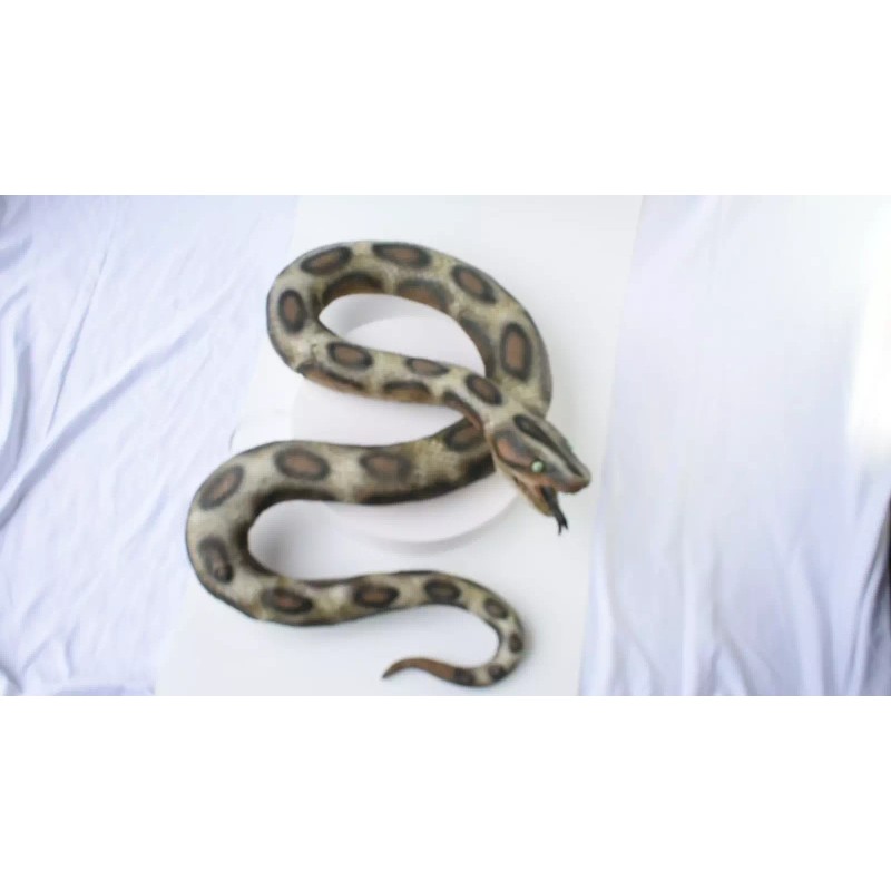 Dillon Realistic Giant Anaconda Snake foam-filled latex rubber snake 87"