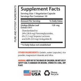 Ginkgo Biloba Original 120mg (3 Botellas)