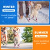 SCENEREAL Anti Slip Dog Sock to Prevent Licking Paws for