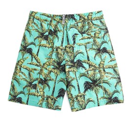 INGEAR Boys Swim Trunks - UPF 50+, Quick Dry Boys Bathing Suit, Beach Shorts, Swimsuit and Swimwear Trunks - Sizes 2T-14 (Paml Trees, 4/5)