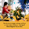 Choice Organics - Organic Mandarin Ginger Tea (1 Pack) -