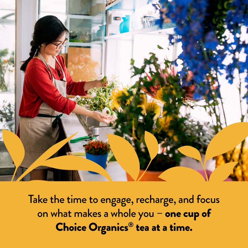 Choice Organics - Organic Mandarin Ginger Tea (1 Pack) -
