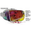 Decal Style Skin Wrap Compatible with Oculus Go Headset -