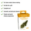 Browin 411000 Cheesemaking Kit - Complete Set for Making Cheese