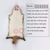 Genuine Natural Tanned Raccoon Hides Fur Pelts Graded 1 Real
