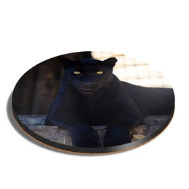 1 x Round Coaster - Black Panther Wild Big Cat Cork Backed MDF Glossy Tea Coffee Accessory #3113